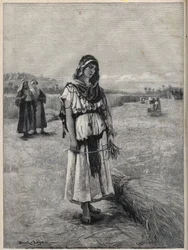 Ruth Boaz (Booz) mezején dolgozik (Ruth és Boaz) - metszet Druch-hajos festményéről