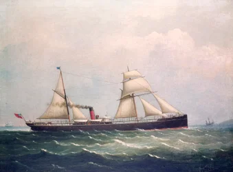 S.S Fooksang (olaj, vászon)