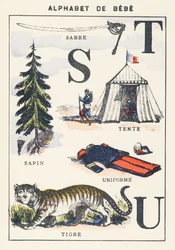 S T U: szablya, fenyő, sátor, tigris, egyenruha
