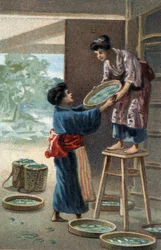 Selyemhernyó-tenyésztés japán mágnesben. A 19. század végének kromolitográfiája.