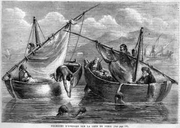 Szivacshalászok a szíriai partokon 1867-ben