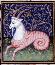 A Bak. Miniatűr horoszkóp. 15. századi kézirat. Bibl. Trivulziana, Milánó.