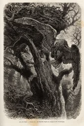 A sas védi fészkét a betolakodóktól. Metszet a Quatre mois en Florida című történet illusztrálására, M. Pousselgue, 1851-1852, megjelent a „” le tour du monde”-ban, D