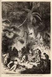 Étkezés készítése a Caravaya völgy érintetlen erdőjében (Andes cordilliere), boa rövid húslevessel. Paul Marcoy 1849-1861-ben megjelent Quinquinas (Peru) voyage dans les vallees de gravírozása, a Le tou folyóiratban jelent meg.