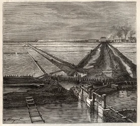 Giraud sós mocsara a Camargue-ban (Bouches-du-Rhone), kilátás a kiszolgáló csatornáról - Louis Figuier „Les Merveilles de l
