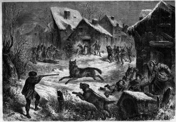Farkasvadászat Saliers faluban, Bouches du Rhone (13), 1860. december 31. Metszet a „” Le Monde Illustré”” n¡196-ban, 1861. január 12..