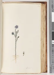 102. oldal Linum
