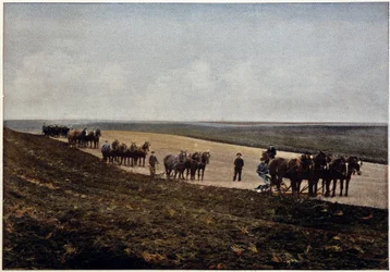 Szántás a Manitoba-síkságon (Kanada), 19. század vége