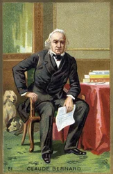 Claude Bernard (1813-1878) francia fiziológus portréja. századi kromolitográfiája.