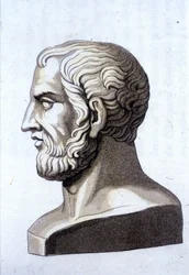 Theophraszt (Kr. e. 372- i. e. 287) görög filozófus portréja.