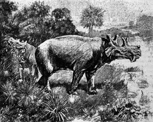 Őstörténet: egy négyszarvú Uintatherium dinoszaurusz ábrázolása.