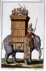 Az elefánt, amelyet a karthágóiak állatként használtak munkához és háborúhoz. metszet - a „” Enciclopedia universale illustrata”-ban”