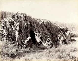 „Brahuis kunyhó”, Ziarat