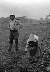 Couple de peasants working la terre, Somme 1921 Fényképezés (Francia parasztok dolgoznak a földeken, Somme 1921) Magántulajdonú gyűjtemény
