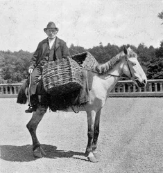 Ír férfi a lován (XIX. század).