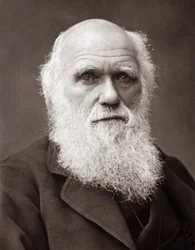 Charles Robert Darwin angol természettudós (1809-1882)