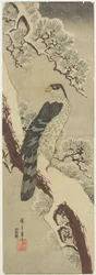 (Hawk on Pine Branch, Winter), 19. század eleje