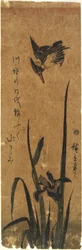 (Írisz és Jégmadár), 1830-1858