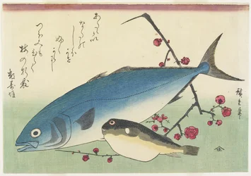 Bonito, gömbhal és virágzó szilvapermet, 1840 körül.
