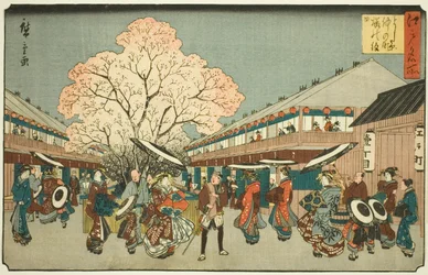 Chery Bo durva m da y hangja a nap közepén Yoshiwara (Yoshiwara cseresznyevirágzás középső napja, újév napja), a „Fa s Pa tag Edo (Edo híres hely)” sorozatból