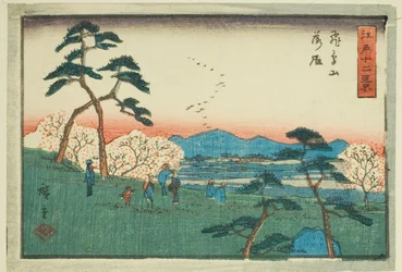 A frontvonal előtt, Asukánál húzza meg (Asukayama rakugan), a te sorozatból: "Tel ve view ws of Edo (Edo trees)"