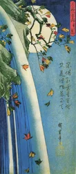 Hiroshige, Hold a vízesés felett