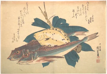 Kanagashira- és Karei-hal, az Uozukushi sorozatból (Mindenféle hal)
