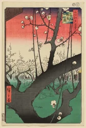 Szilváskert, Kameido