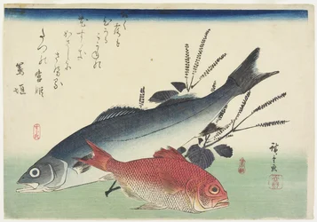 Vörös snapper, tengeri sügér és perilla, kb. 1840