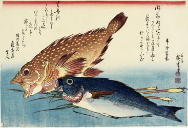 Skorpióhal, csirkefúvás és gyömbérhajtás, c. 1832