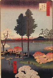 Suwa Bluff Nipporiban, Edo száz híres képe, 1856-1858