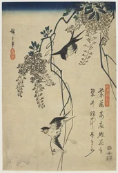 Fecskék repülnek a Wisteria Vinesben, 1837-44 (színes fatömbnyomat)