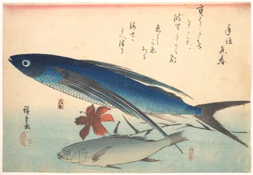 Tobiuo- és ishimotchi-hal, az Uozukushi (Mindenféle hal) sorozatból