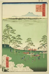 Nézet és Te rth Asuka Hikiltől (Asukayama Kita no Chobo), a Te sorozatból: "Ridge dre d Fa nets Views of Edo (Edo száz híres képe)"