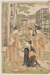 A Shika Teaház