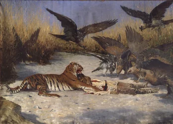 Emberfaló, 1870-1880-as évek