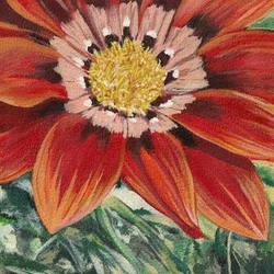 Élénk narancssárga virág