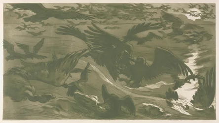 Ragadozó madarak, 1893.