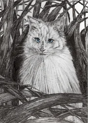 Jungle Monty, 2015, (tinta papíron)