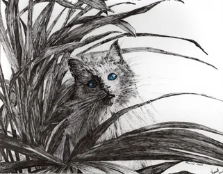 Monty plant, 2015, (tinta, papír)