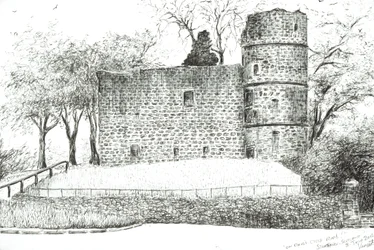 Romok Strathavenben, 2012 (Tinta papíron)