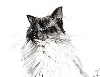 Miért? 2016, (tinta papíron)