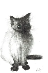 Fiatal baba, 2004