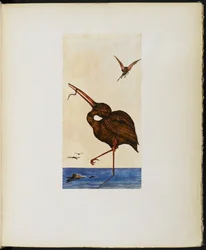 A Brown Willy, Vincent Cartwright Vickers „A Google könyvéből”.