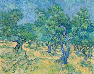 Olajfaliget, 1889