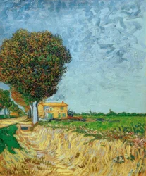 Arles melletti sugárút házakkal