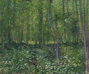 Fák és aljnövényzet. 1887