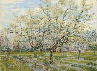 A fehér gyümölcsös, 1888