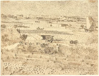 Szüret – La Crau síksága