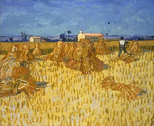 Aratás Provence-ban